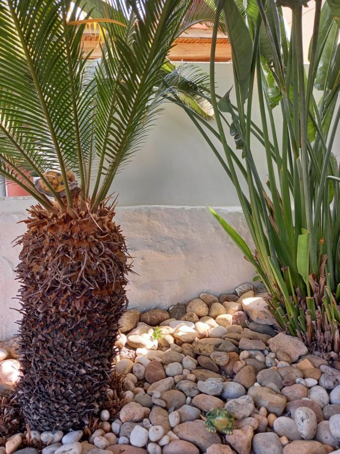 Alexandros Cosy House For Family Vacation Apartment Chania  Exterior photo
